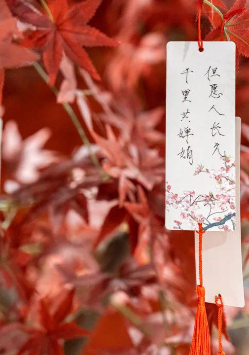 米乐M6 M6米乐Hit爆北京路的「娱小茶」31折开团！招牌饮品68元杯！更有电竞、麻将、Switch…N+种项目等你玩！速度囤！(图4)