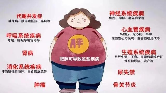 米乐M6 M6米乐糖是癌症元凶？爱吃甜食与不吃甜食的人谁更易患癌？你知道吗？(图5)