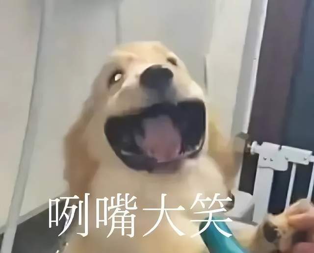 这些奶茶新品也太卷了！好不好喝你们说了算！米乐M6 M6米乐(图26)