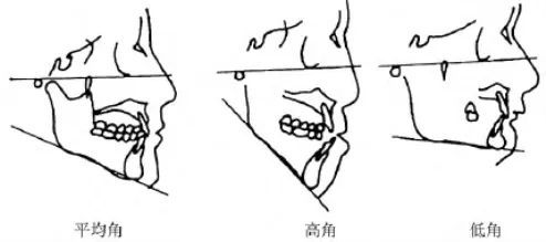 奶茶妹妹和奚梦瑶米乐M6 M6米乐的故事也能有融合？39岁的她也太能打了！(图12)