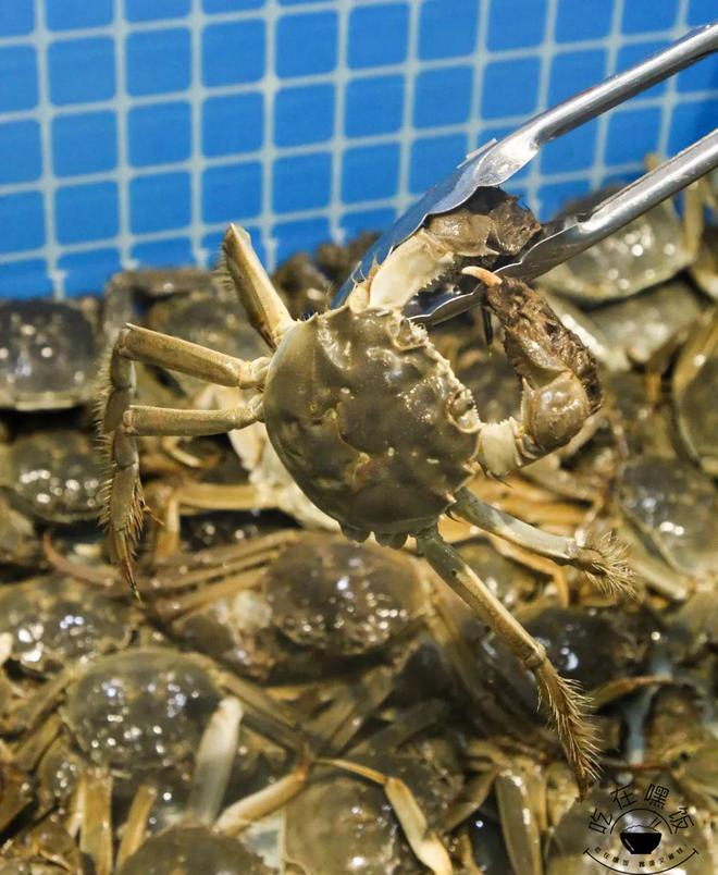 米乐M6 M6米乐【鹿海烩·嘿饭专场直播ing】百种菜品放肆吃！②位数吃海鲜大餐坐下就回本！(图7)