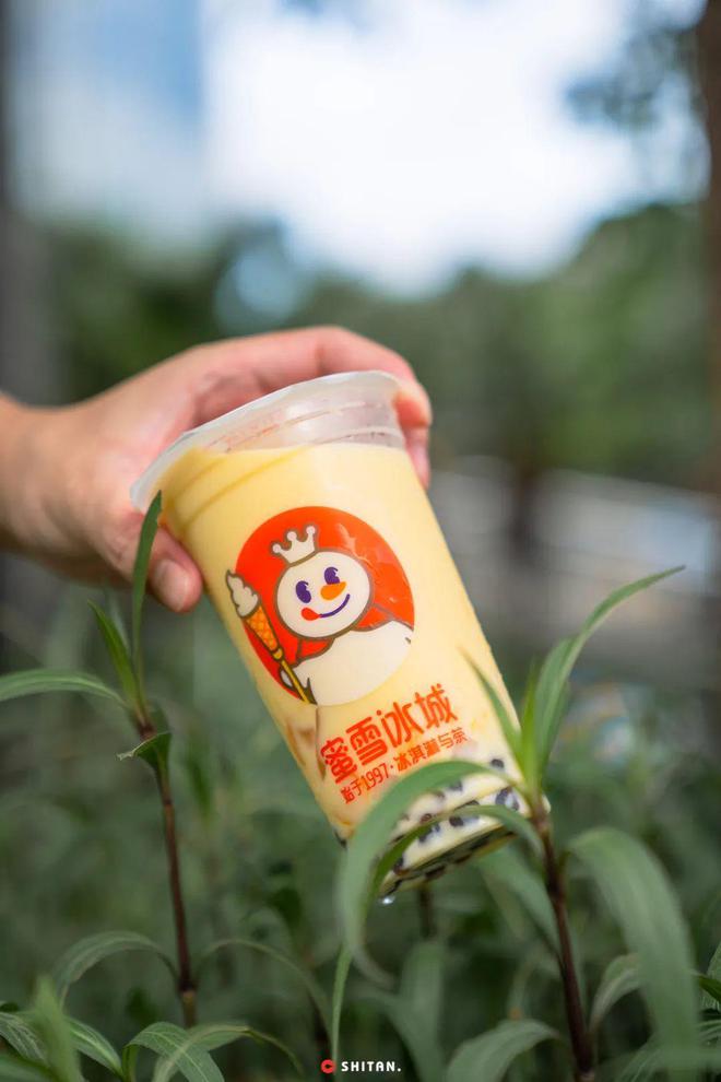 蜜雪冰城过气了吗？网友说还没有从这点可以看米乐M6 M6米乐出(图8)